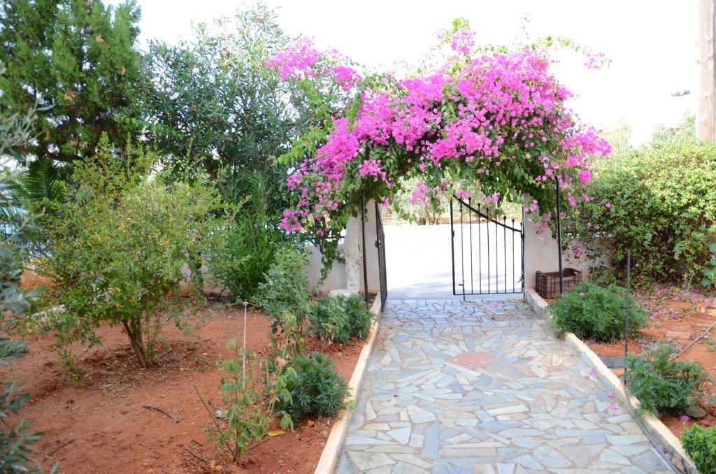 Alex Home Apartments Hersonissos  Ngoại thất bức ảnh