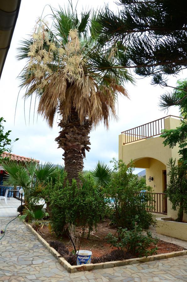 Alex Home Apartments Hersonissos  Ngoại thất bức ảnh